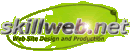Logo Skillweb